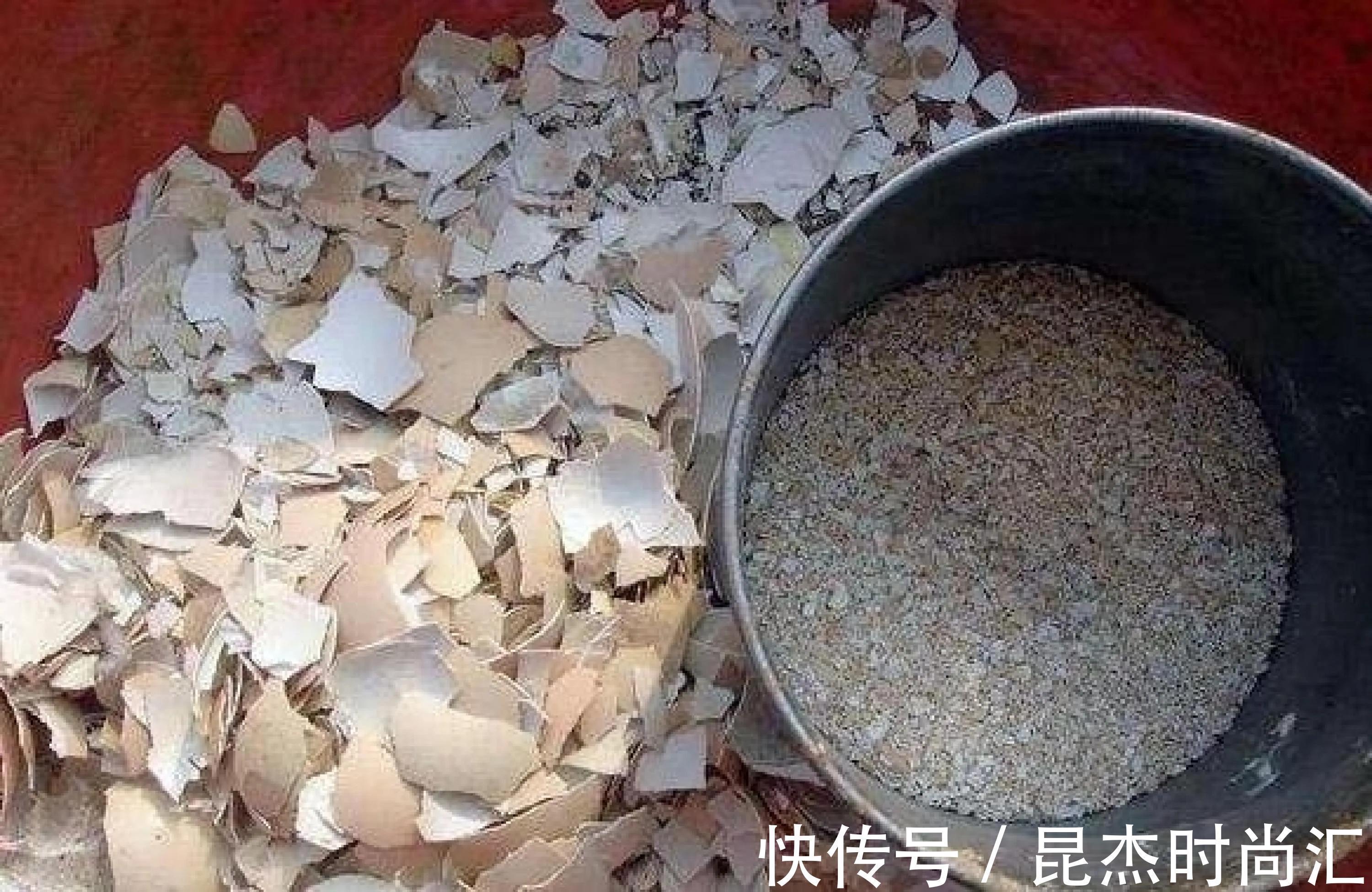 根系|养花盆土硬邦邦,自制一碗水,土壤松软似面包,肥力足