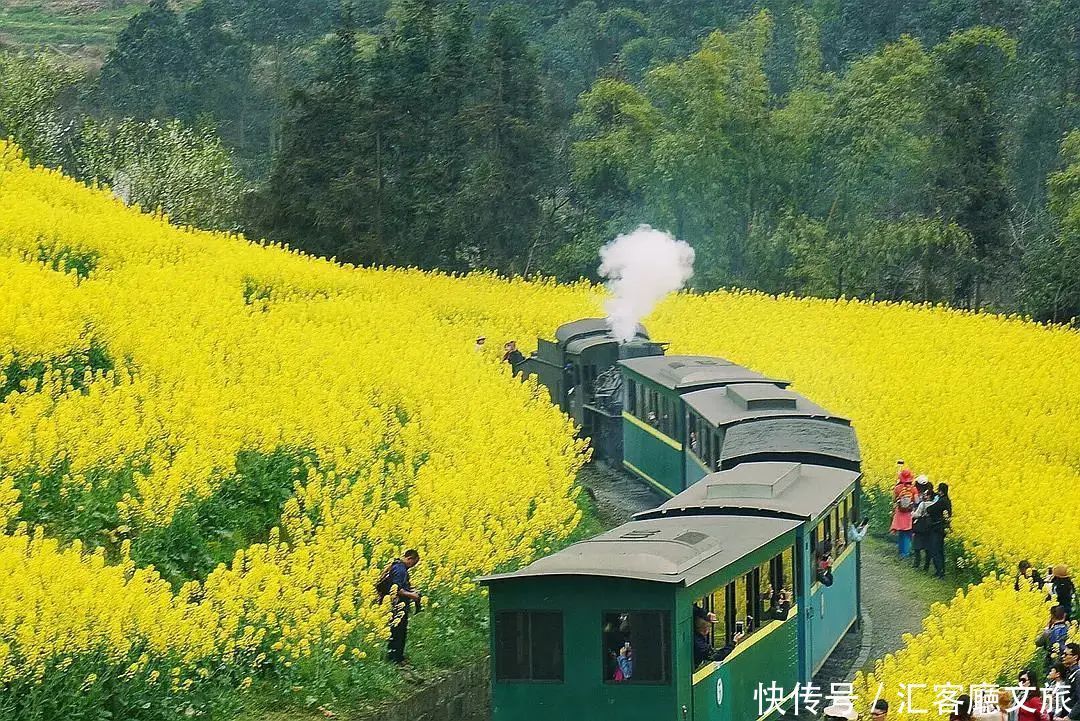 淋一场烟雨，遇一场花事，9个三月花海刷屏的地方