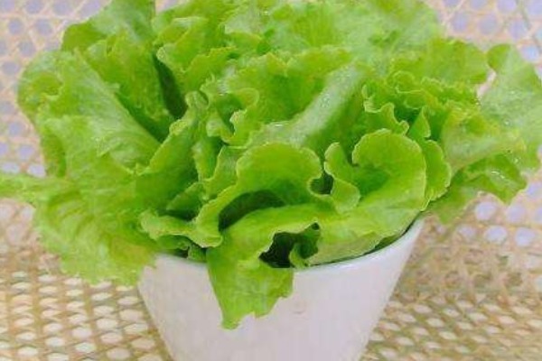 花椰菜|有三种蔬菜寄生虫最多,大多数人还在吃,你中招了吗