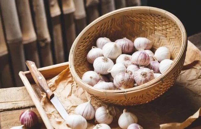 发芽|四种食物发芽后营养或会倍增,有你爱吃的吗?