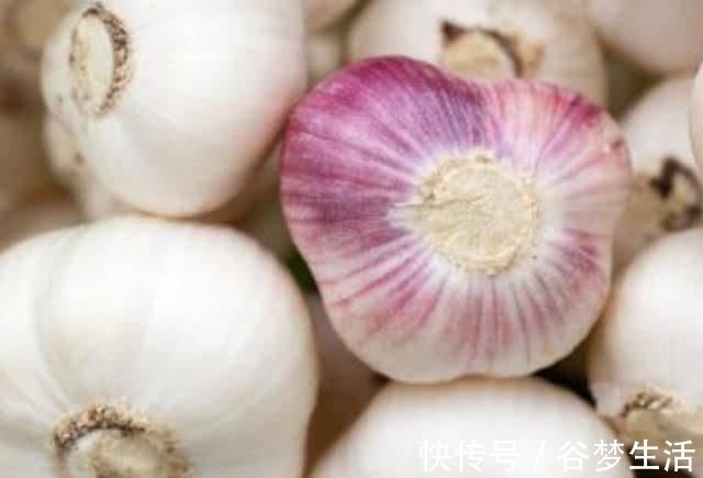 血糖|糖尿病的“克星”,坚持吃,修复胰岛,血糖“悄悄”降下来