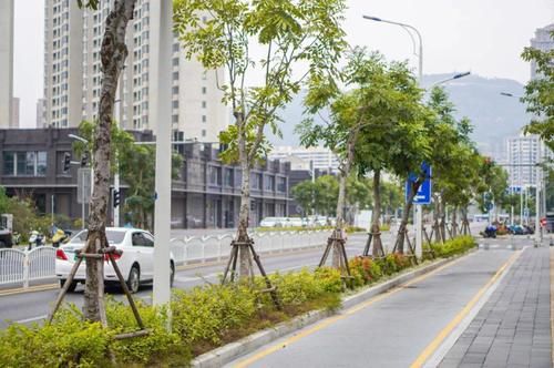 离我18km的这家沙茶面，通了地铁2号线后我才吃到！