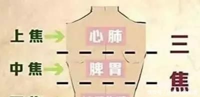 下焦|搞懂了人体的“三焦”,所有疑难杂症,都可迎刃而解,建议收藏!