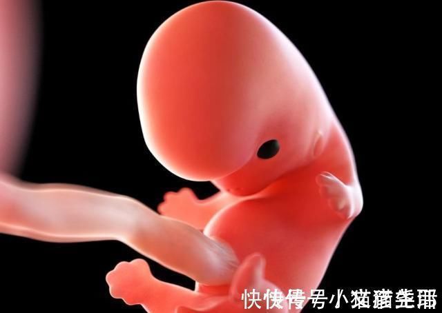 胎儿|怀孕1~40周,每周身体有何变化?送你一份“孕期清单表”!