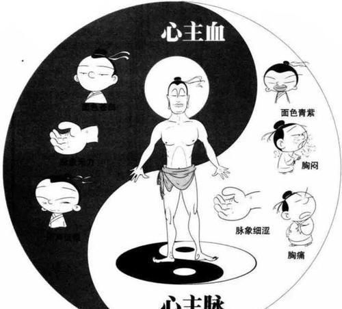 脾胃|老中医:如此养我们的心、肝、脾、肺,肾,能让五脏焕发活力