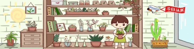 2种小药片,丢进水里用来浇花,土壤两年不板结,开花多长的旺