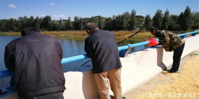 老汉|老汉钓鱼发现一只“乌龟”,背上插着四支箭,箭的主人来历非凡