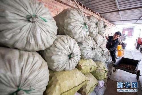 新华社发|黄土高原上的电商“大拿”