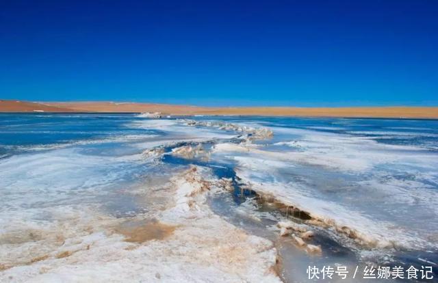 羌塘最惨烈的一次穿越，115人进入仅7人生还