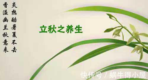 绿豆|立秋到，喝2汤，2粥，2水，防暑祛湿，去秋燥，开启秋季养生模式