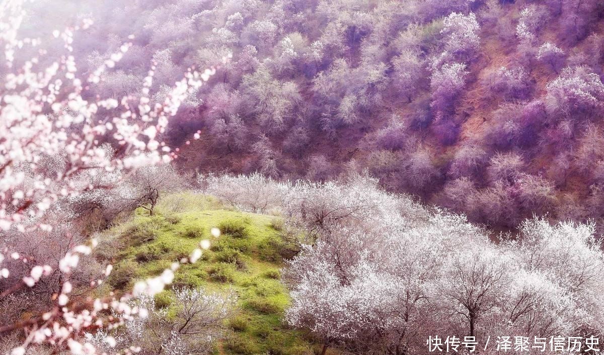 醉翁亭记|欧阳修最经典的一首词,900多年来惊艳了世人,更是无人能出其右