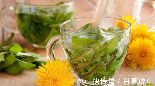 蒲公英提取物|中药又立功?蒲公英两天内就能杀死98%癌细胞、消结节?揭开真相