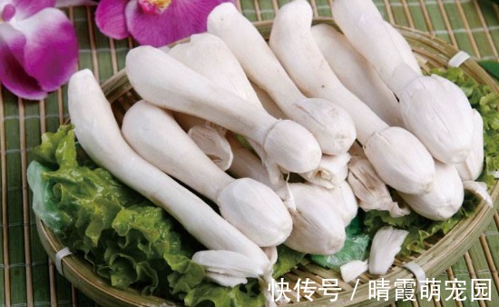 经血|女性月经“毒血”淤积,吃3种食物,清理毒素,润养子宫