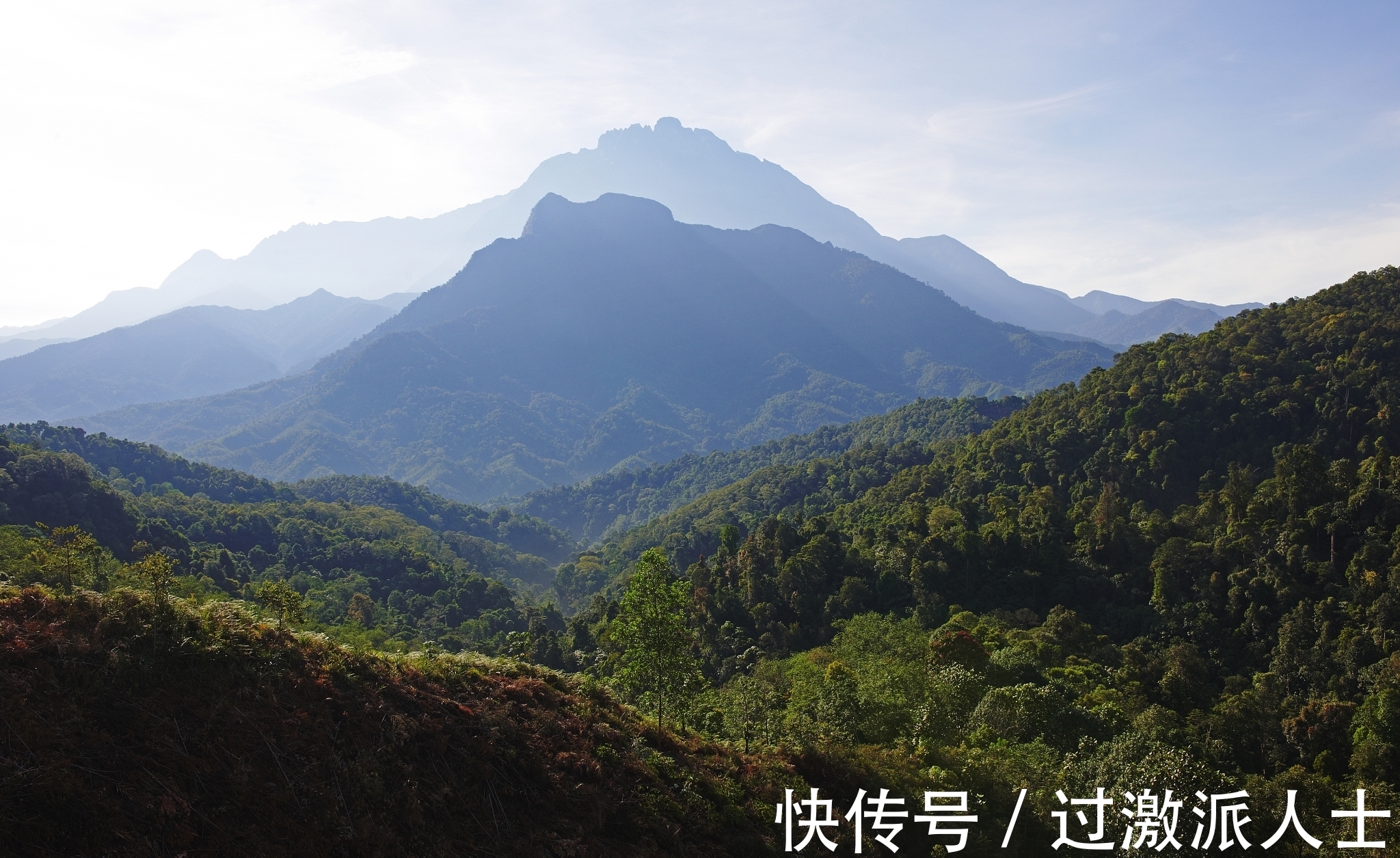 梅尧臣$宋诗精华五首,梅尧臣被誉为宋诗开山祖师,您觉得他的诗写得如何