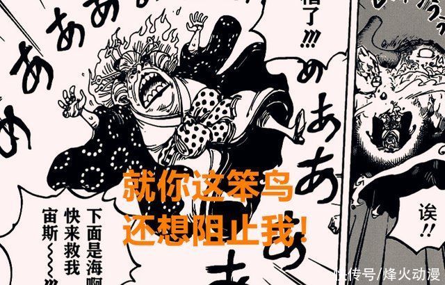 马尔科|海贼王1016话:锦卫门比路飞还强?索隆单挑烬，马尔科转线大妈