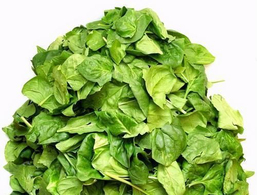 生菜|女性想身体好,平时常吃3种食物,补血益气,美容养颜,有益健康