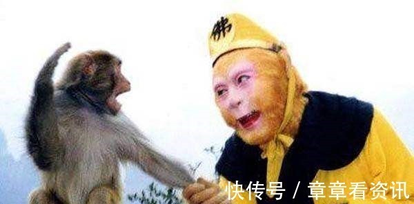 玉帝&西游记里如来一只手轻松降伏孙悟空你错了,真相是灵山险些破产