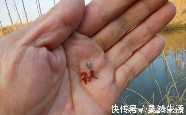冬季钓鲫鱼,传统钓更有优势,试试这种钓法,让你大鲫鱼连竿上