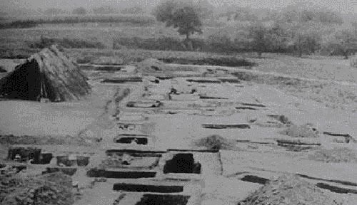 史书|揭秘秦始皇33个子女的下落之谜