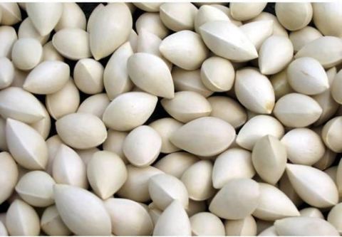 三七|这6种常见的中药都有毒性,真的不要乱用