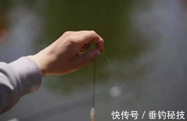 都说冬季鱼难钓?其实不然,是你没掌握诀窍,这样调整后照样上鱼