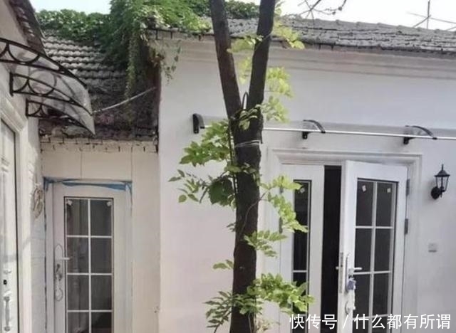 花园|女子“爆改”破败三合院，巧变花园豪宅，父母住进来不想走，显摆