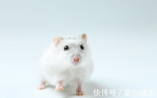 肝火|为什么那么多人脾虚肝火旺?应该怎么调理?