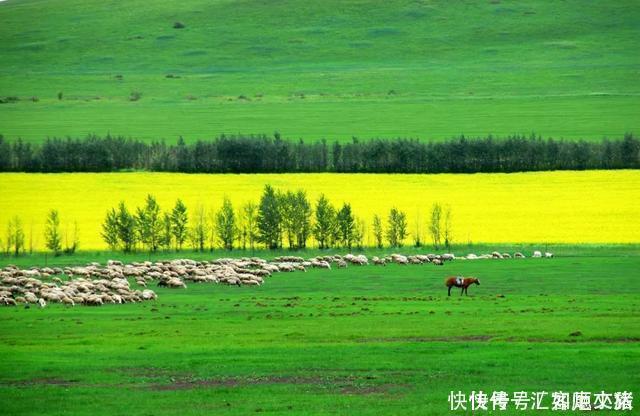 未来30天，既赏心悦目又能避暑纳凉的地方，错过就等一年