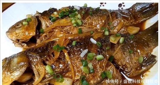 春末夏初巧寻板鲫:学会变通,找对方法