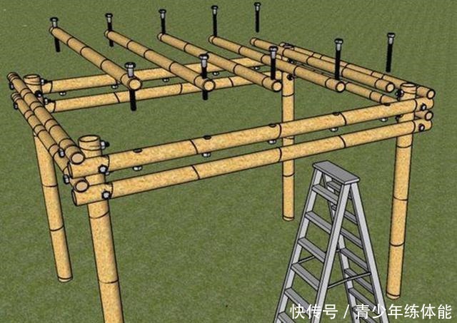 小院搭个漂亮的廊架,根本用不着钢管,砍几根竹子结实耐用十多年!