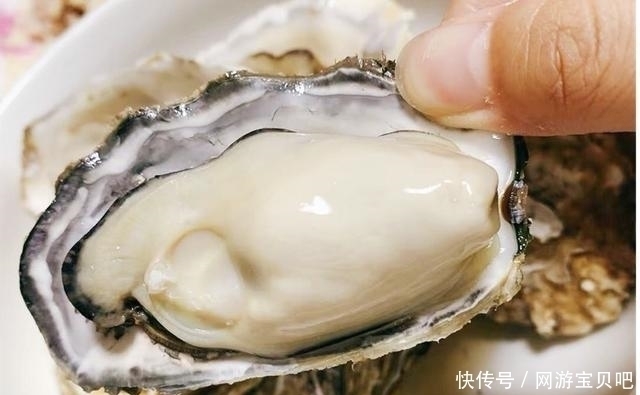 4种海鲜生吃才美味,不过多数人接受不了,全吃过请收下我的膝盖