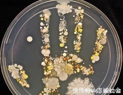 妈妈|8岁小孩出去玩,回家不洗手按了个手印,妈妈培养48小时后