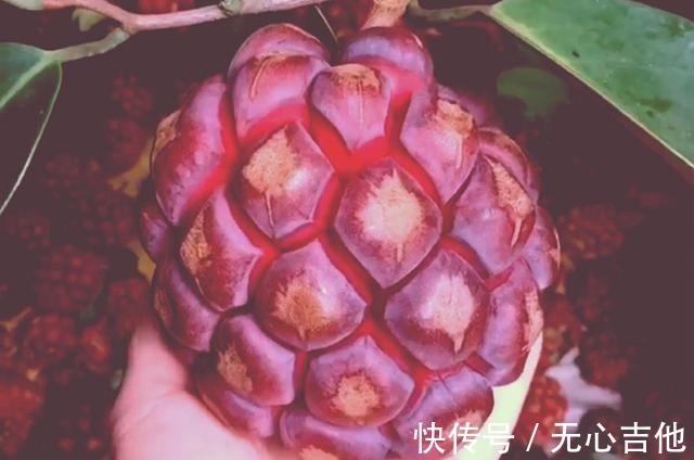 奇形怪状|海贼王看多了有哪些“后遗症”,看到水果就在想这是什么果实