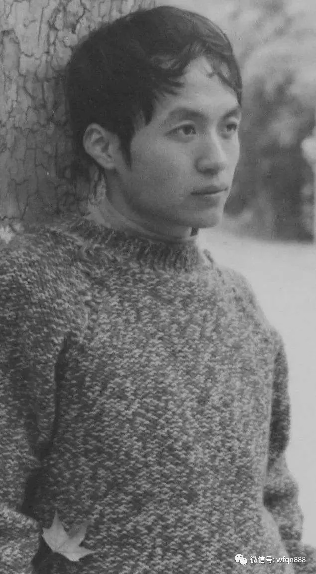 寓言故事#他12岁辍学养猪37岁自杀,23岁写首诗风靡了40年,至今仍被人传颂