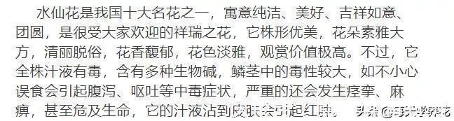 这六种花都是“毒花”，家里有老人、小孩、孕妇的，千万要慎养！