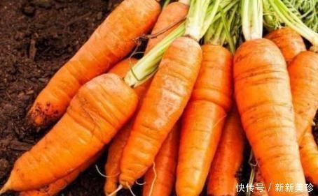 琥珀酸钾盐|胡萝卜和此物一起煮,视力好了,失眠跑了,还能清理血管垃圾!