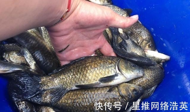 入口性|蚯蚓挂钩的6个小技巧，学会后渔获多多，一条接着一条