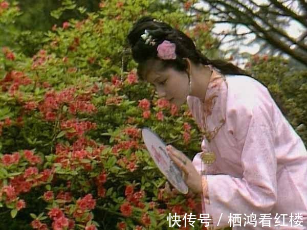 元春!薛家丫头,为什么敢折贾家的花儿,还自负“独我使得”?