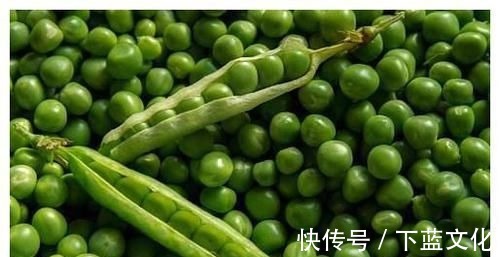 养颜美容|女性想要皮肤好,常吃四种食物,养颜美容、强身健体,早吃早好