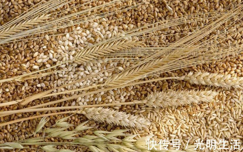 牛尿酚|男人前列腺炎不要怕, 常吃这几种食物, 赶跑炎症保护生命腺