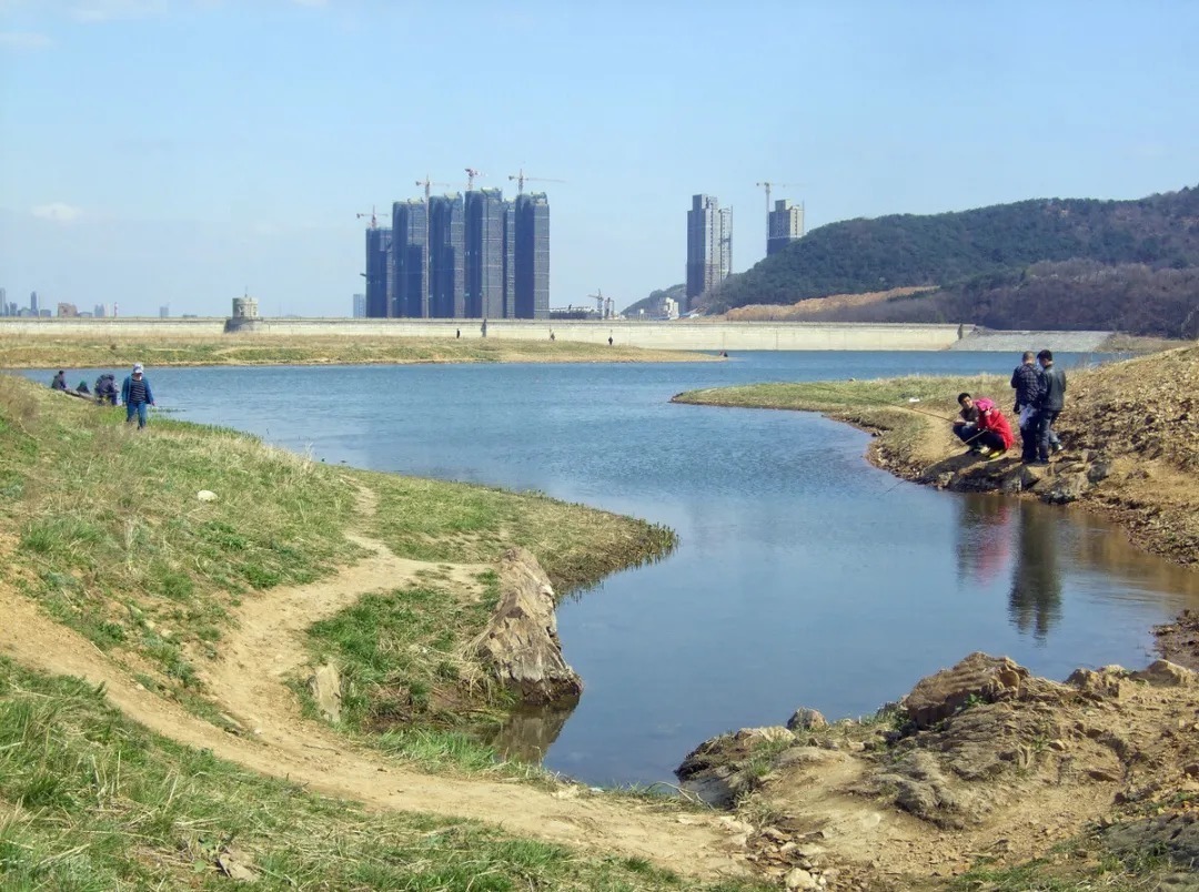 水温|冬季水库鱼难钓？其实不是鱼难钓，而钓位选择不正确