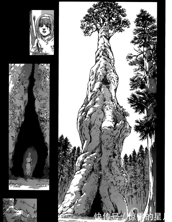 始祖巨人|《进击的巨人》巨人秘密起源帕拉迪岛 远古生物仍在巨木之森