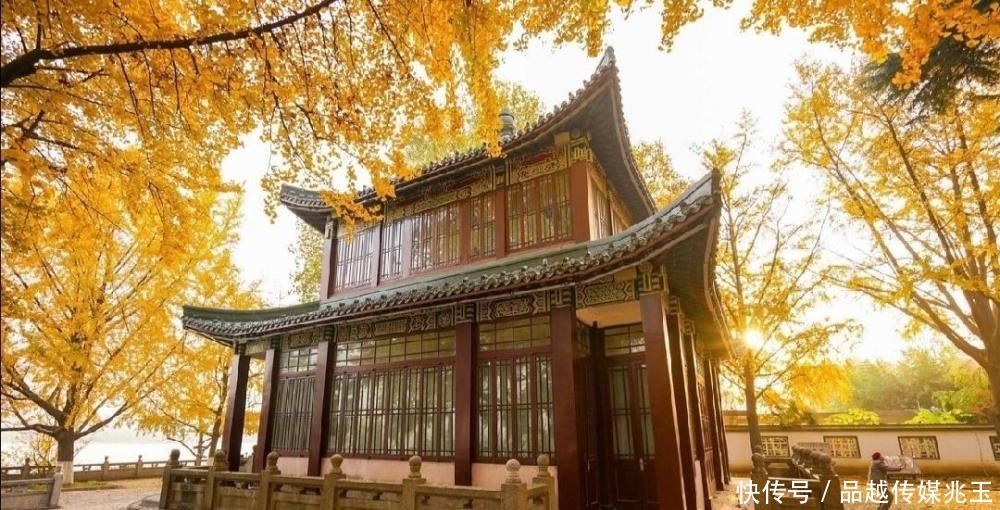 “庙小妖风大,人狠话不多”:真正有本事的人,都很安静