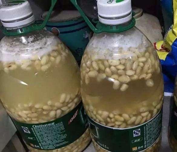 发酵|氮磷钾肥在家就能自制,方法简单肥效好,只要动动手肥料钱都省了