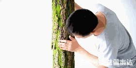 仿真|卫生间装修，老师傅直接用一棵“树”包水管，还说很多人没见过！