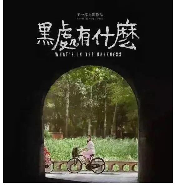 参加完《导演请指教》,王一淳变了么?