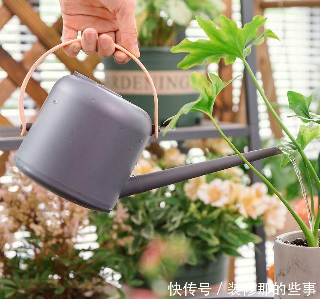 花卉|夏天养花，别犯3个错，避免黄叶烂根，过不去夏