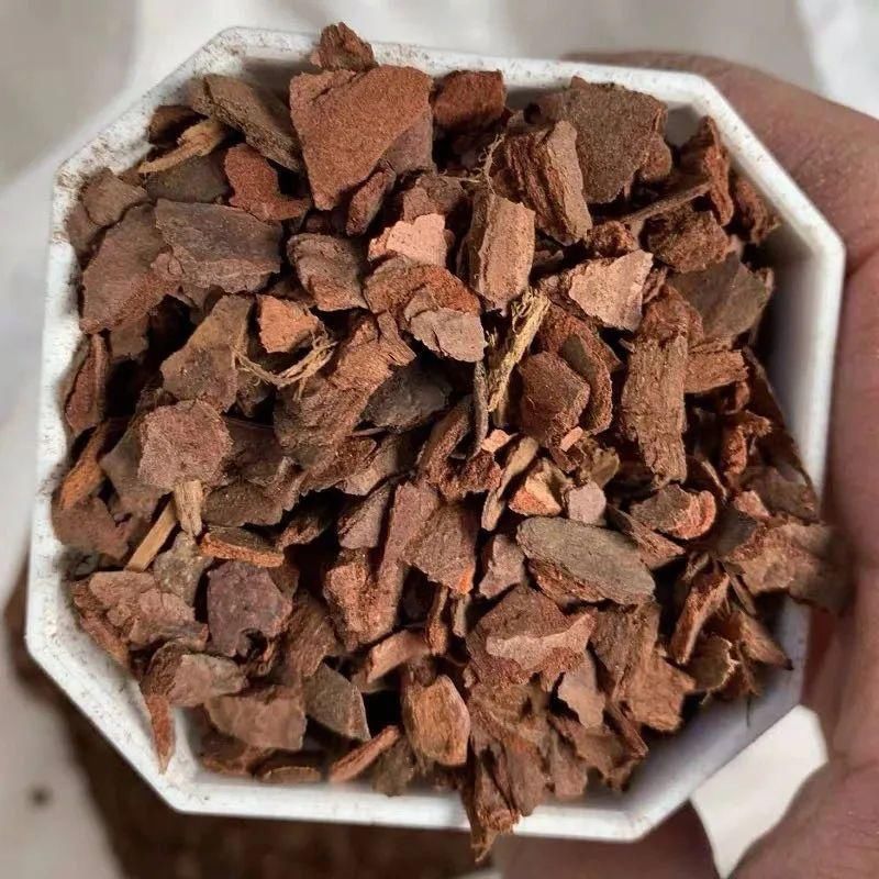 丝瓜络|换盆时,花盆里垫上这5种小东西,透水又透气,再也不怕烂根啦