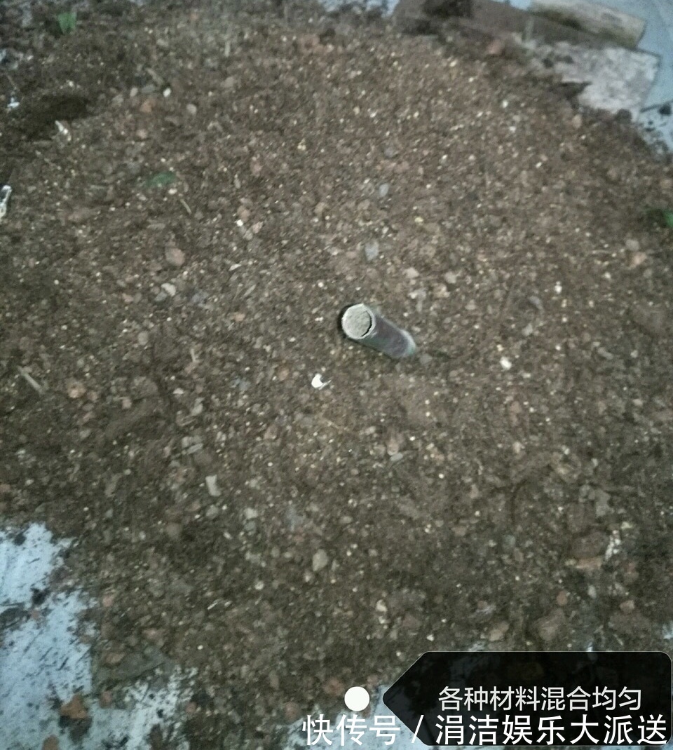 自制1种“混合土”,君子兰、绿萝最喜欢,1分钱不花,根旺叶绿