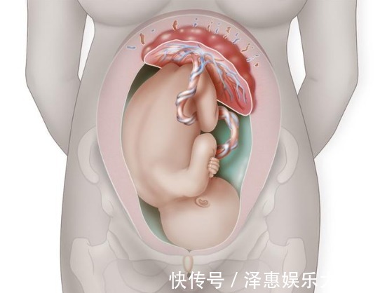 产妇|剖腹产为何要在孕38周而不是40周别看只差两周,差距不是一点点
